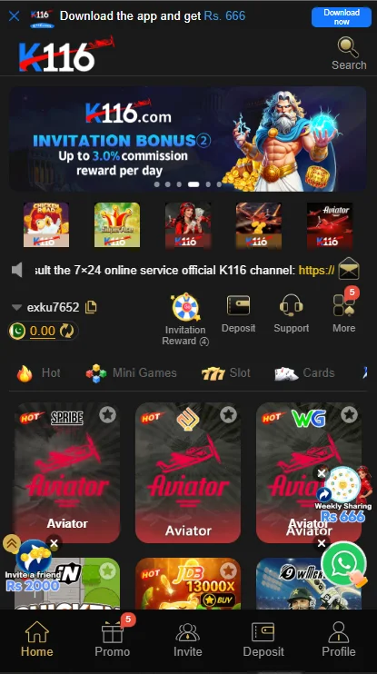 K166 Game
